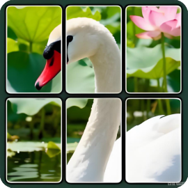 图文来找茬-休闲小游戏