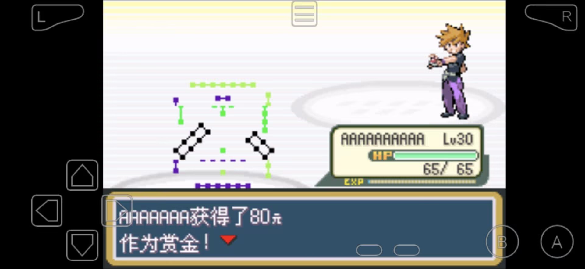 口袋妖怪-无限大道